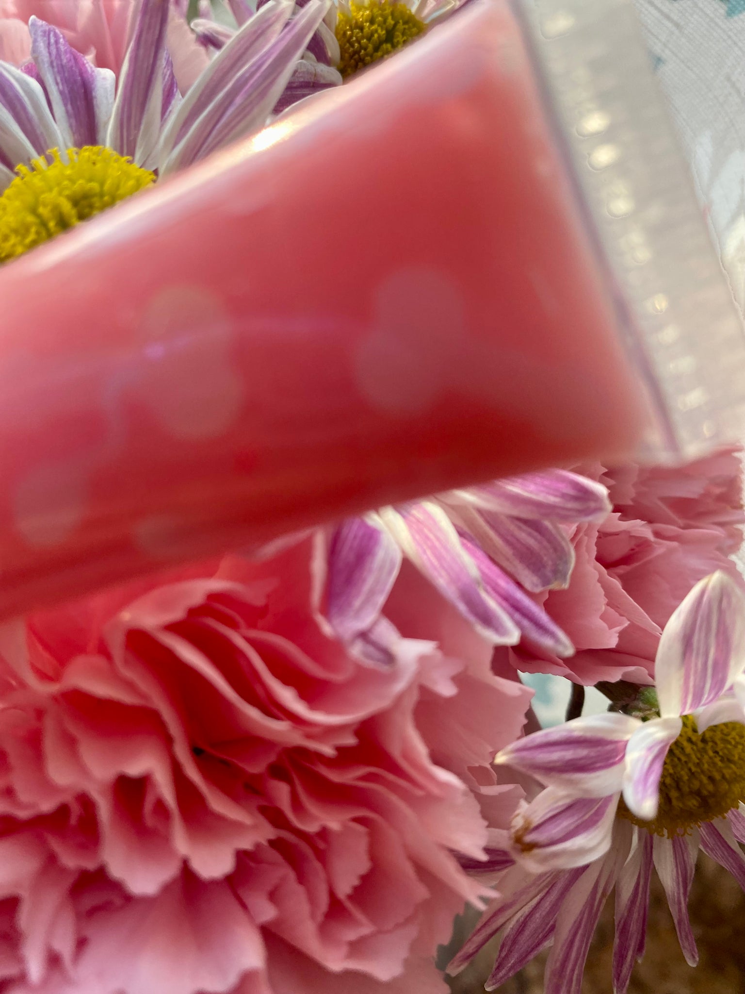 Wet Kitty plumping gloss